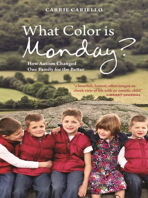 cover image of What Color is Monday?